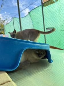 PHOTO-2025-10-29-14-11-47 4